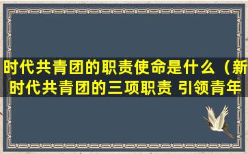 时代共青团的职责使命是什么（新时代共青团的三项职责 引领青年）